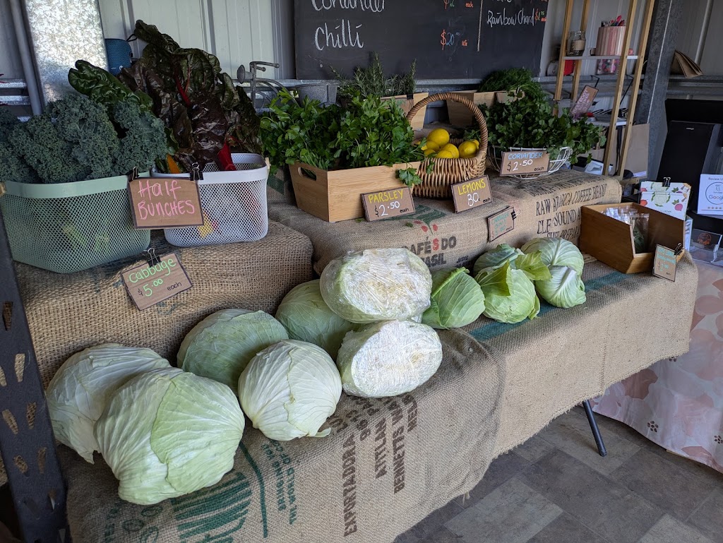 D and A Farm Fresh | 245 Eramosa Rd W, Moorooduc VIC 3933, Australia | Phone: 0401 569 837