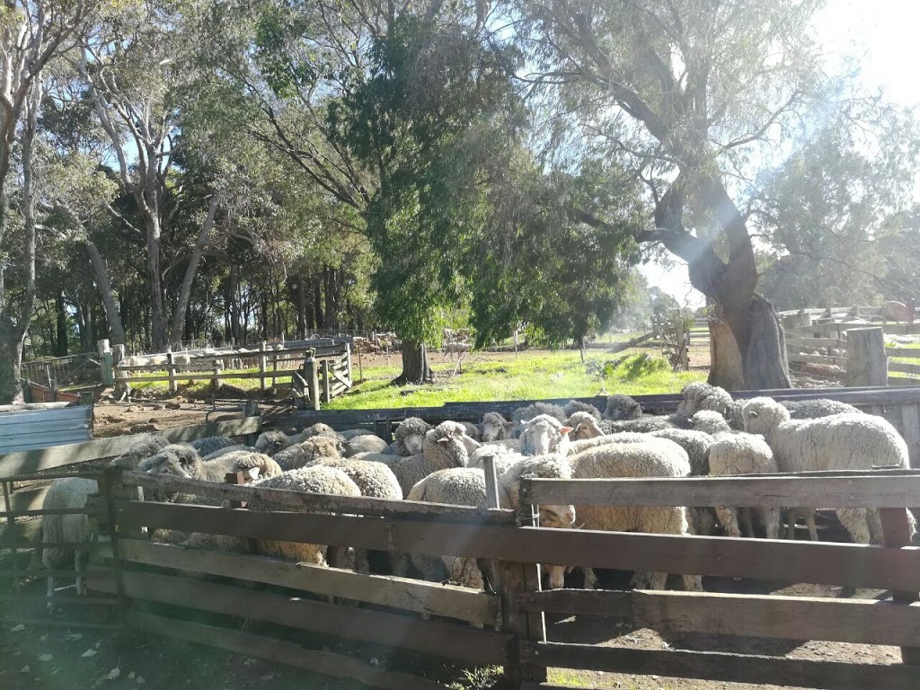 Yallingup Shearing Shed | 1442 Wildwood Rd, Yallingup WA 6282, Australia