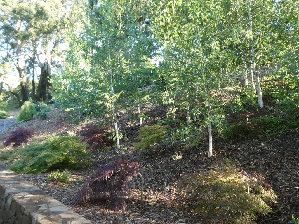 Exeter Designer Plants | 121 Rockleigh Rd, Exeter NSW 2579, Australia | Phone: (02) 4883 4975