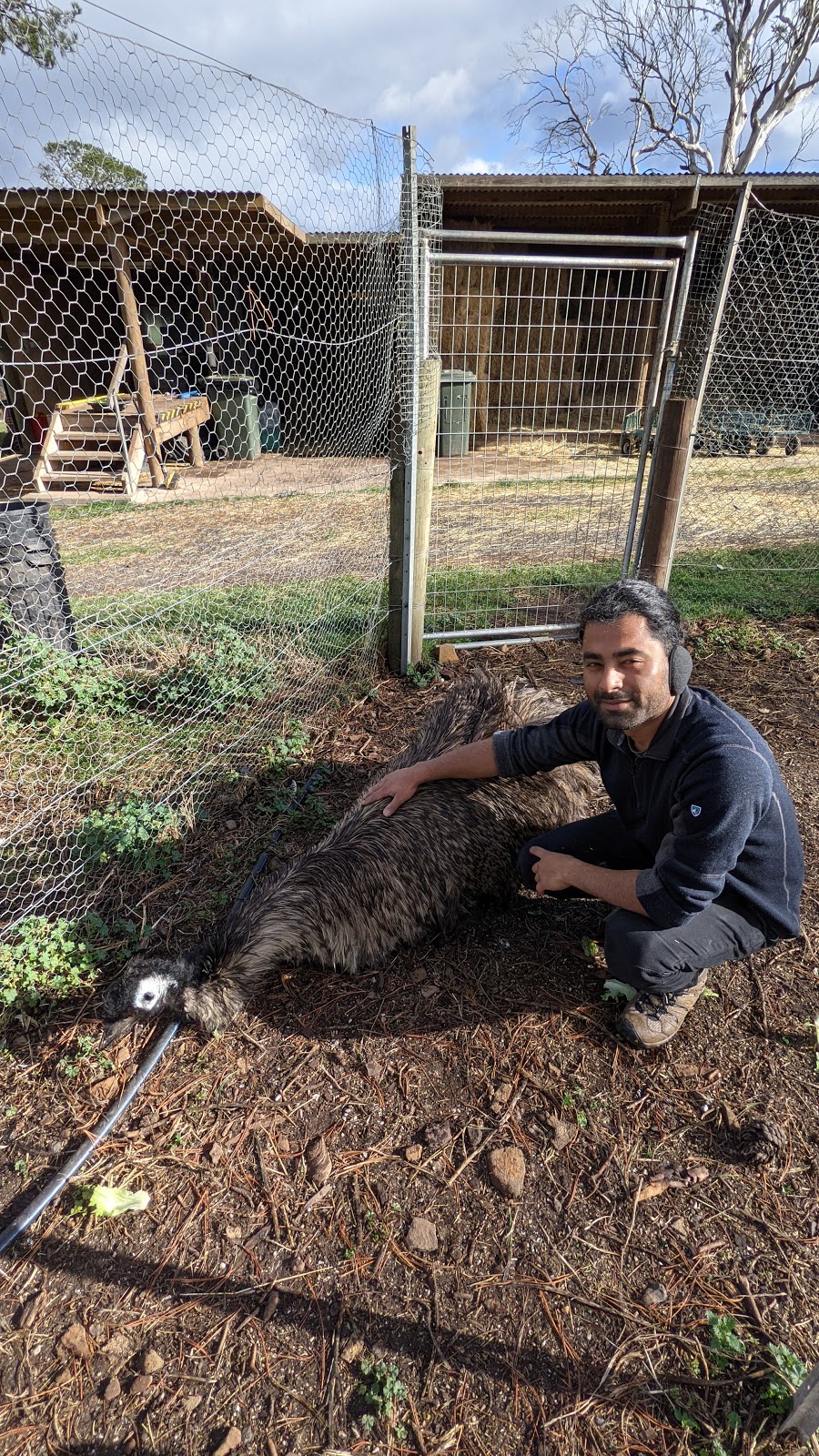 Big ears Animal Sanctuary | 31 Norwich Dr, Longford TAS 7301, Australia | Phone: 0488 094 210