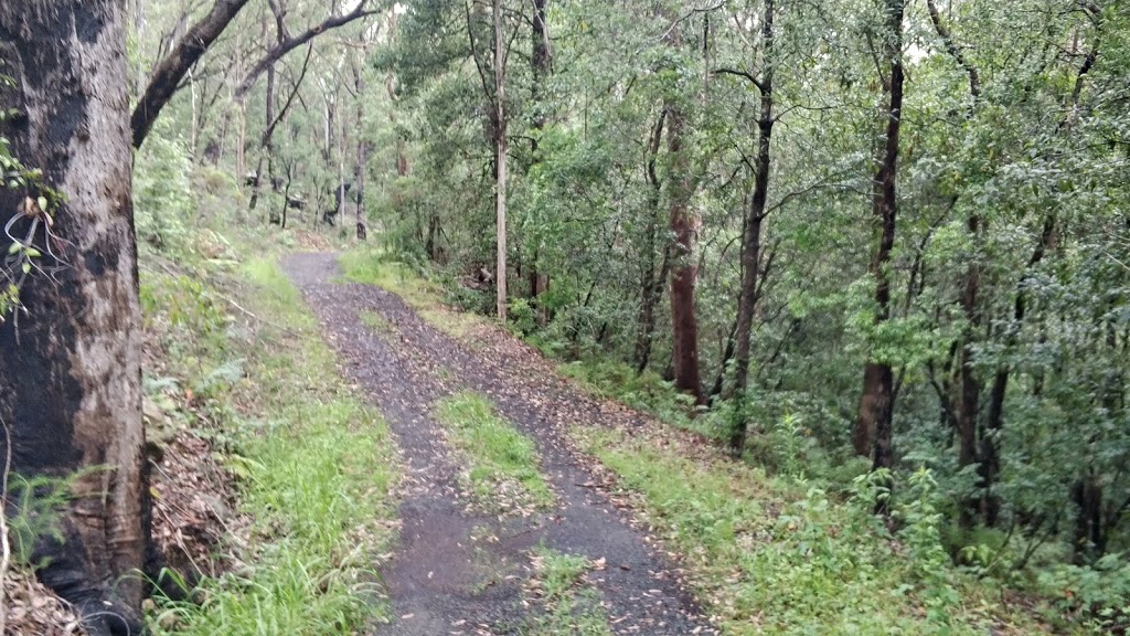 Bidjigal Reserve | park | 14 Heidi Pl, West Pennant Hills NSW 2125, Australia