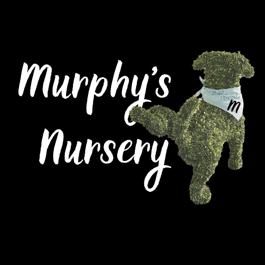 Murphys Nursery |  | 65 Wimpole Rd, Bunyip North VIC 3815, Australia | 0412008727 OR +61 412 008 727