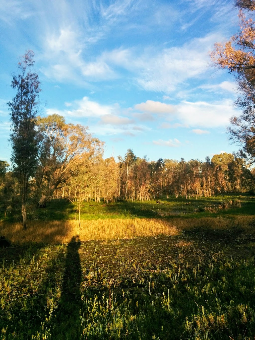 Apsley Bushland Reserve | park | Oconnors Road, Apsley VIC 3319, Australia | 131963 OR +61 131963