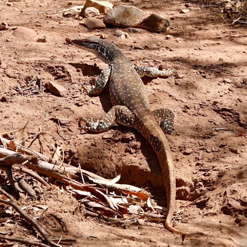 FLINDERS EXPERIENCE 4WD TOURS, | 6 Railway Terrace, Quorn SA 5433, Australia | Phone: 0466 079 499