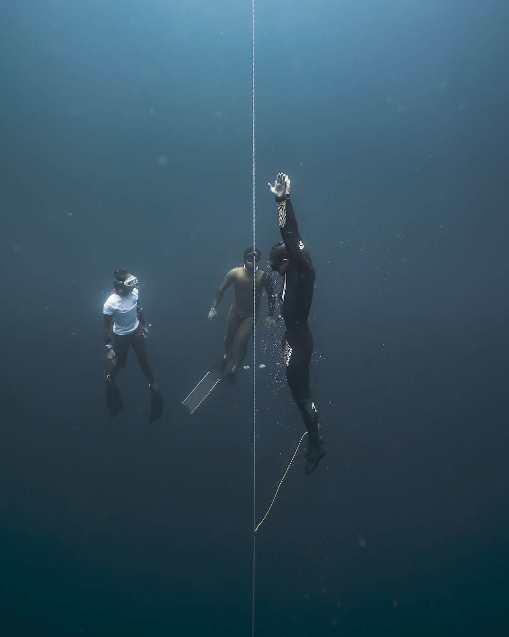 OceanSense Freediving | Runaway Bay Marina, 247 Bayview St, Hollywell QLD 4216, Australia | Phone: 0426 440 491