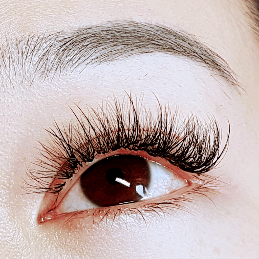 Pure Eyelash | beauty salon | 4 Hamilton St, Mont Albert VIC 3127, Australia | 0491163136 OR +61 491 163 136