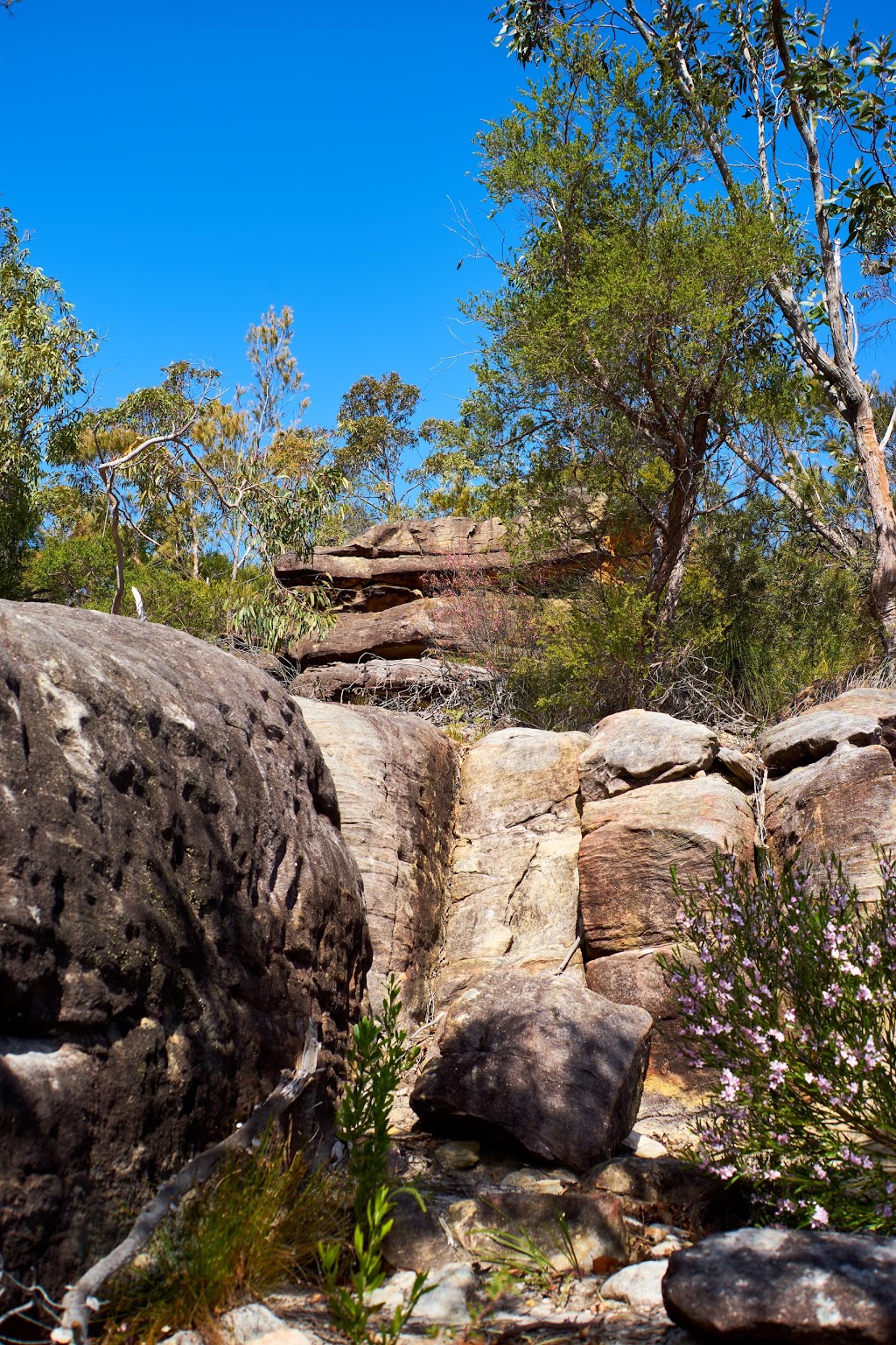 Muogamarra Nature Reserve Visitors Centre | park | Cowan NSW 2081, Australia