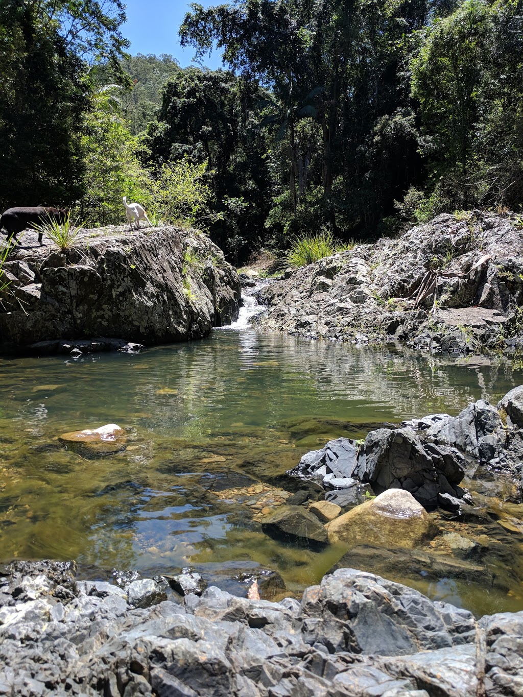 South Pine River lookout | park | 1007 Mount Glorious Rd, Highvale QLD 4520, Australia | 0735122300 OR +61 7 3512 2300