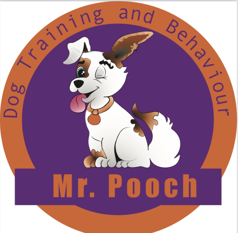 Mr Pooch Dog Training and Behaviour | 27 Greenhills St, Greenhills Beach NSW 2230, Australia | Phone: 0450 248 729