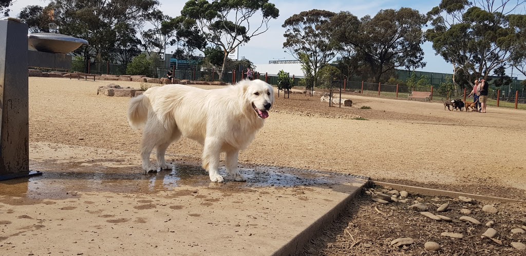 Alf Pearce Dog Park | 111 Carnarvon Rd, Strathmore VIC 3041, Australia