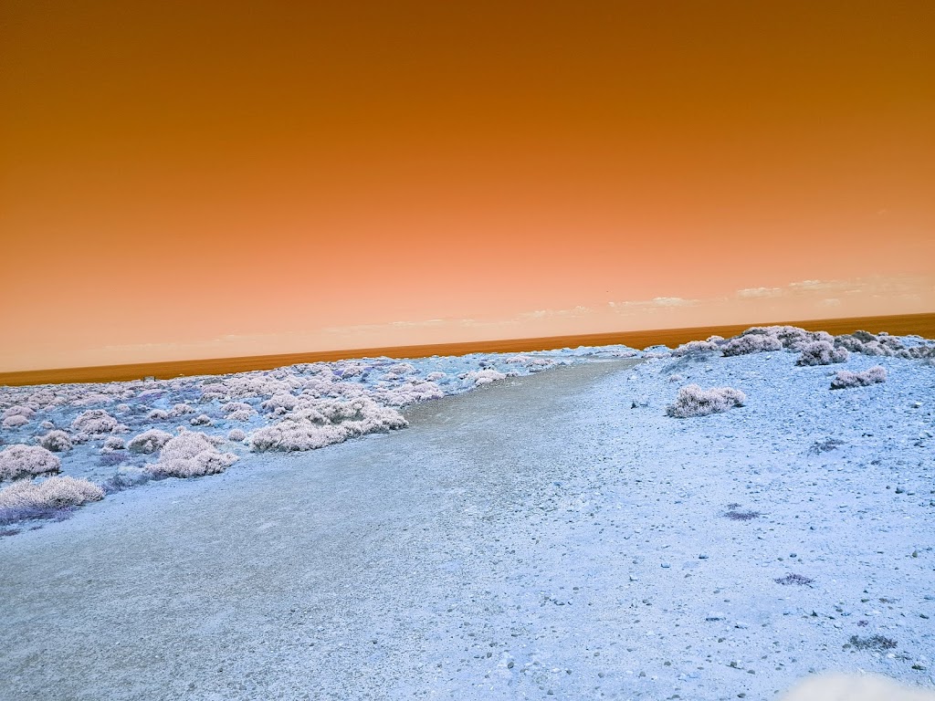 Cape Bridgewater Coastal Camp |  | Blowholes Rd, Cape Bridgewater VIC 3305, Australia | 0355267247 OR +61 3 5526 7247