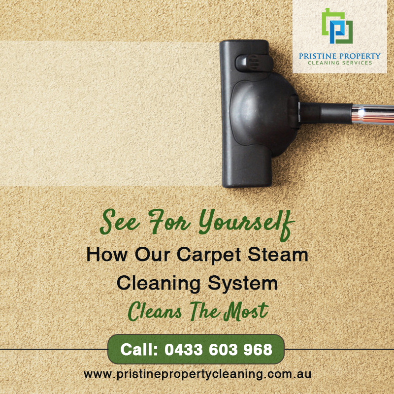 Pristine Property Cleaning Services - Carpet Steam Cleaning & En | 8 Doubell Blvd, Truganina VIC 3029, Australia | Phone: 0433 603 968