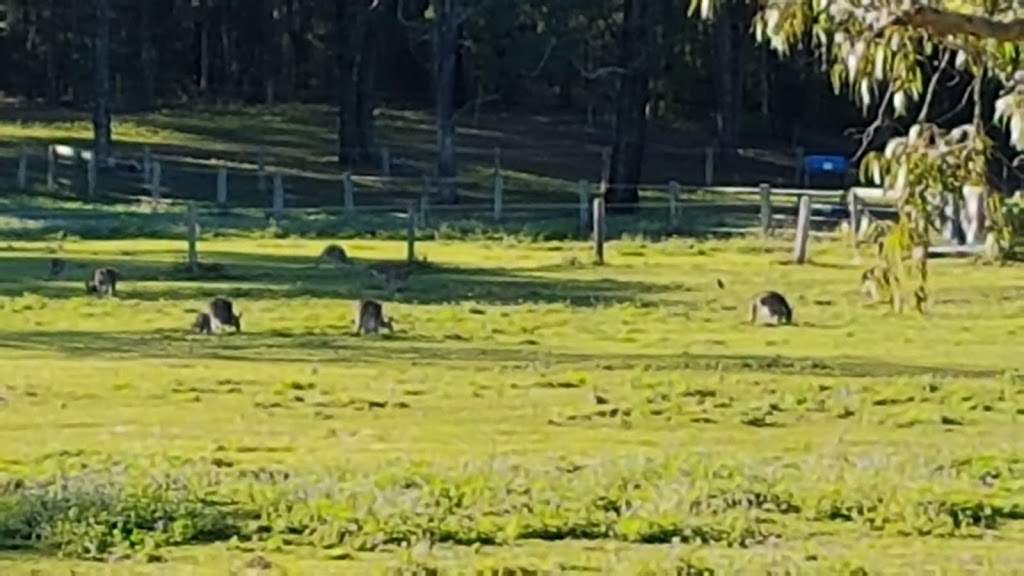 Arundel Park Riding for Disabled |  | 387 Brisbane Rd, Coombabah QLD 4216, Australia | 0755940305 OR +61 7 5594 0305