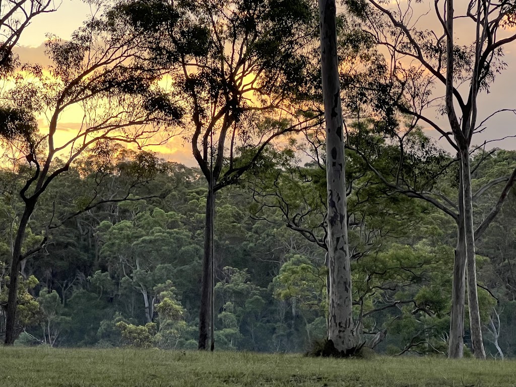Eagle’s Gorge Waterfall | 195 Theresa View Rd, Theresa Park NSW 2570, Australia | Phone: 1300 011 300