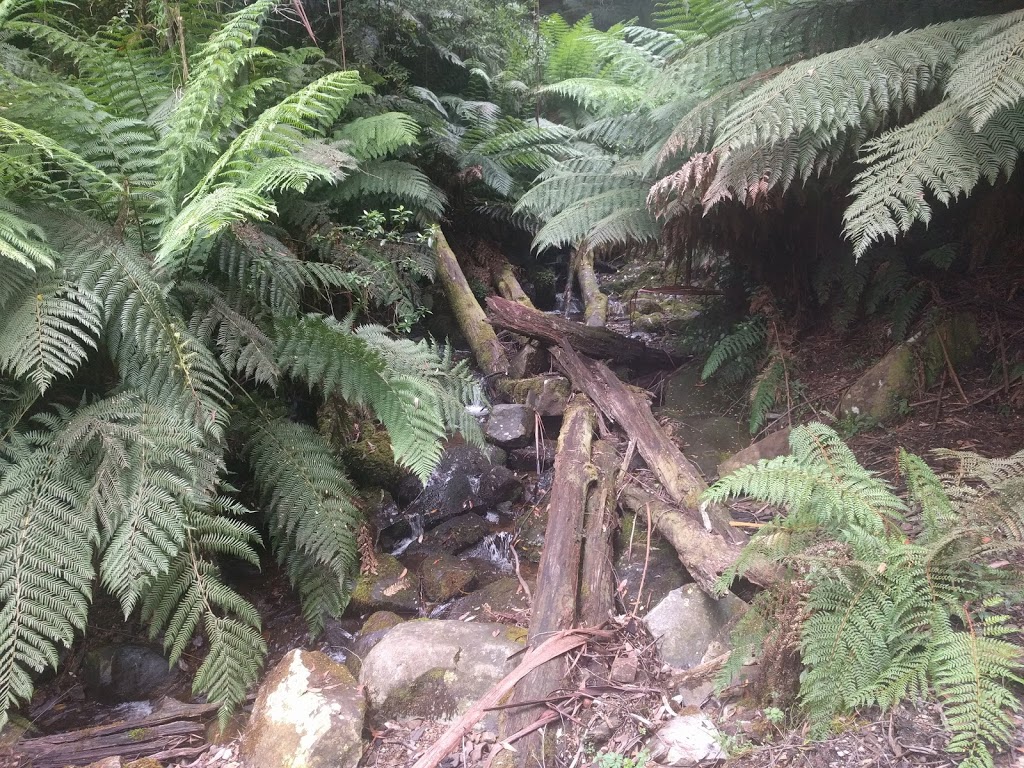 Myrtle Creek cascades |  | Healesville VIC 3777, Australia | 131963 OR +61 131963