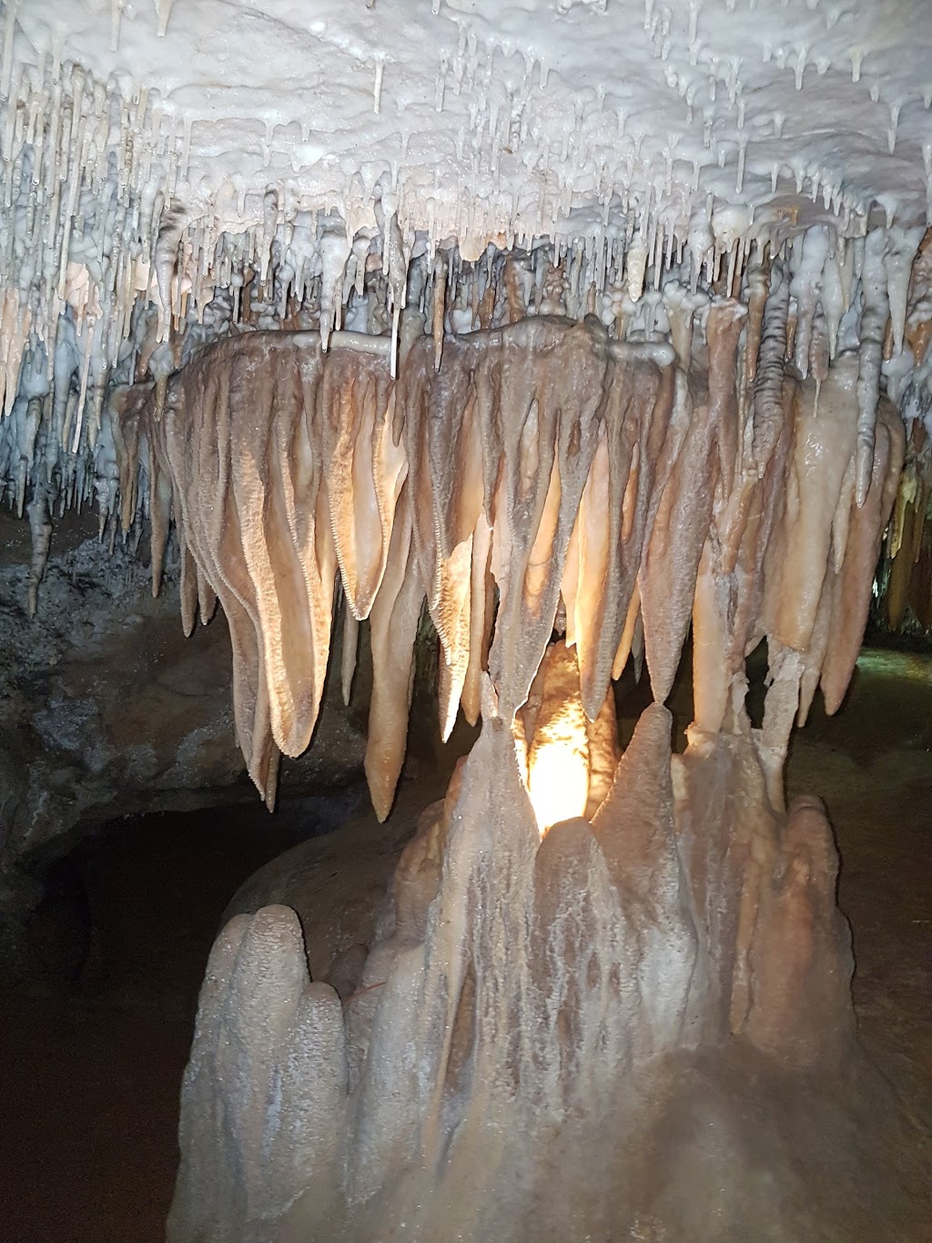 Buchan Cave Reserve | park | Buchan VIC 3885, Australia