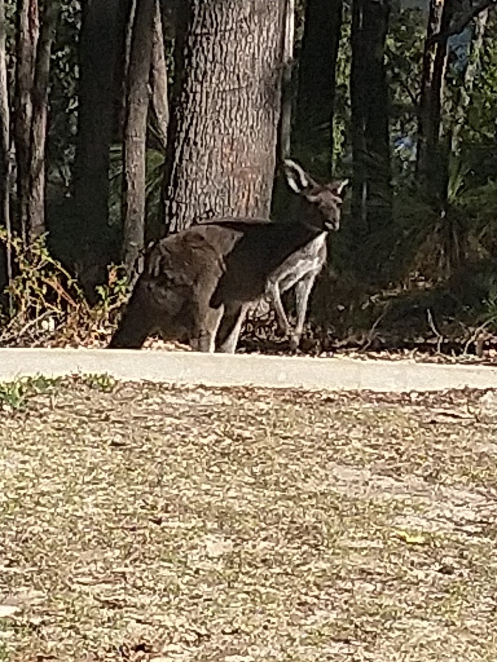 Rose Garden | park | 1240 Mundaring Weir Rd, Mundaring WA 6073, Australia