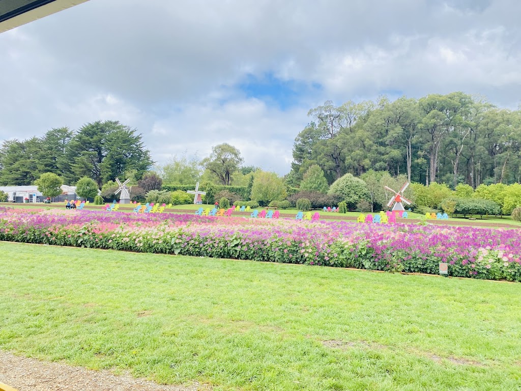 Tesselaar Kabloom Festival | 357 Monbulk Rd, Silvan VIC 3795, Australia | Phone: (03) 9737 7722