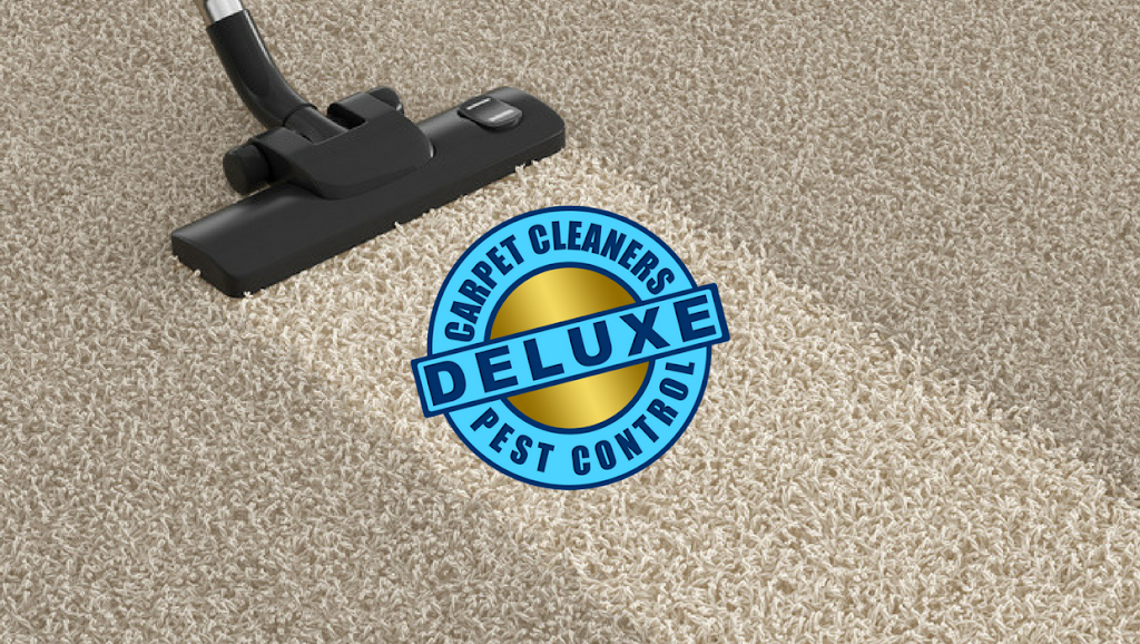 Deluxe Carpet Cleaners | 19 Wilson Ave, Albany Creek QLD 4035, Australia | Phone: 0412 763 956