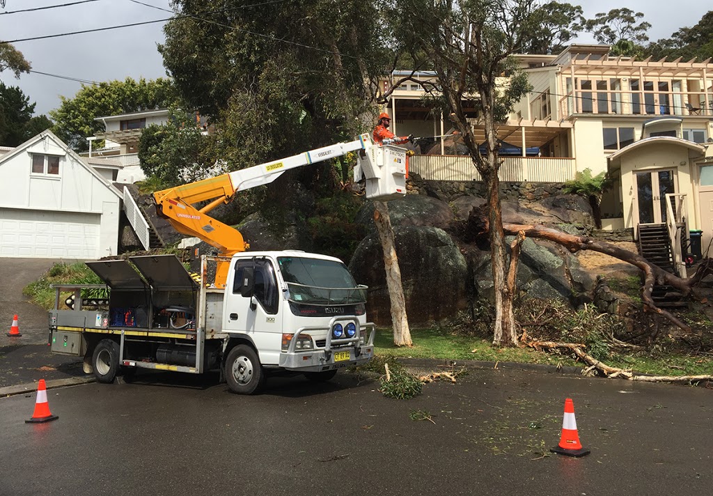 Payless Power Poles | Mccarrs Creek Rd, Church Point NSW 2084, Australia | Phone: 0418 181 873