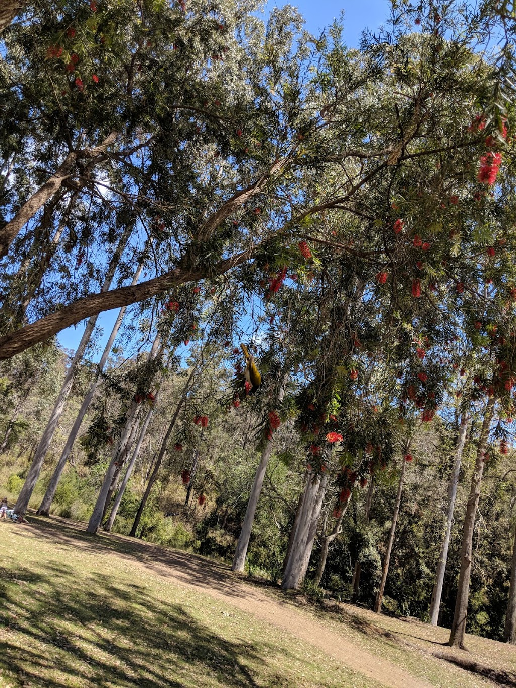Peach Trees Day-Use Area |  | Jimna QLD 4515, Australia | 137468 OR +61 137468