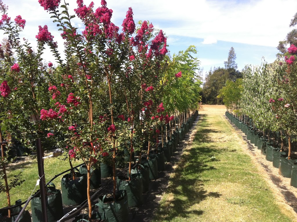 Rochester Nursery | 6708 Northern Hwy, Rochester VIC 3561, Australia | Phone: (03) 5484 3777