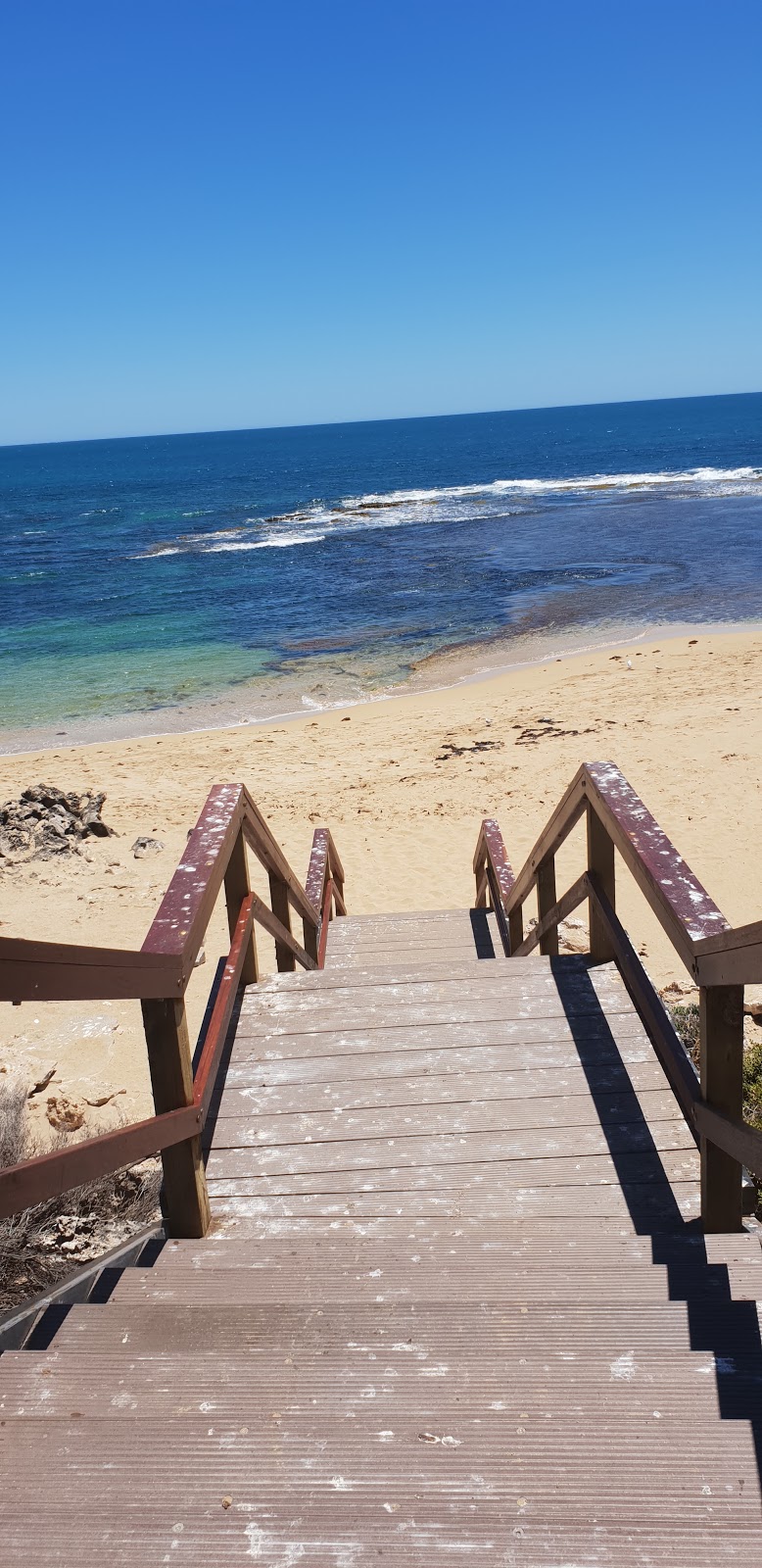 Penguin Island Discovery Centre | Rockingham WA 6168, Australia