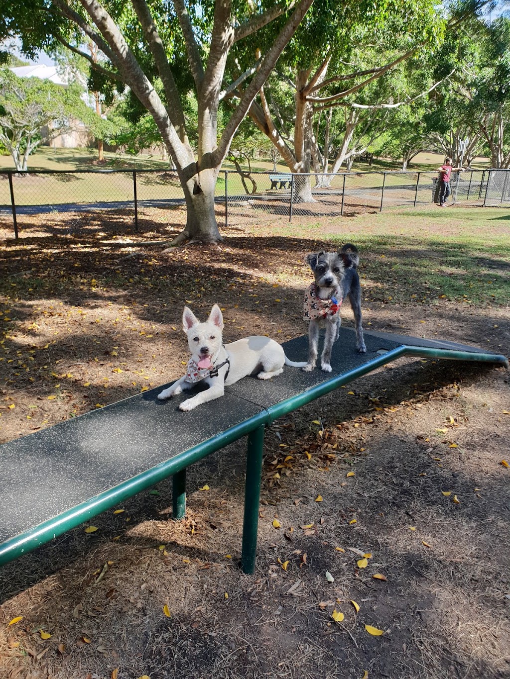 Rode Rd Dog Park | park | 822 Rode Rd, Stafford Heights QLD 4053, Australia