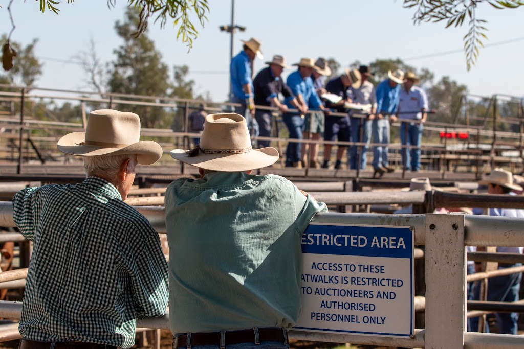 Gunnedah Saleyards | Kamilaroi Hwy, Gunnedah NSW 2380, Australia | Phone: (02) 6740 2100