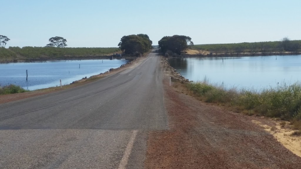 Pink Lake of Quairading, Australia | travel agency | Bruce Rock-Quairading Rd, Badjaling WA 6383, Australia