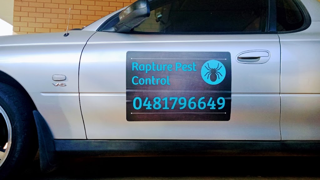 Rapture pest control | 60 Toorak Rd, Leeton NSW 2705, Australia | Phone: 0481 796 649