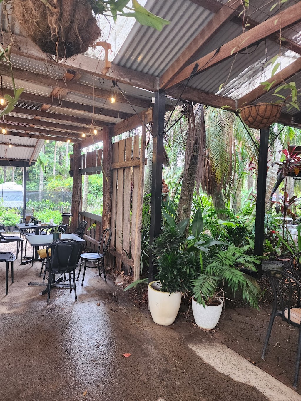 Tayzies | 2530 Coolamon Scenic Dr, Mullumbimby NSW 2482, Australia | Phone: 0485 683 760
