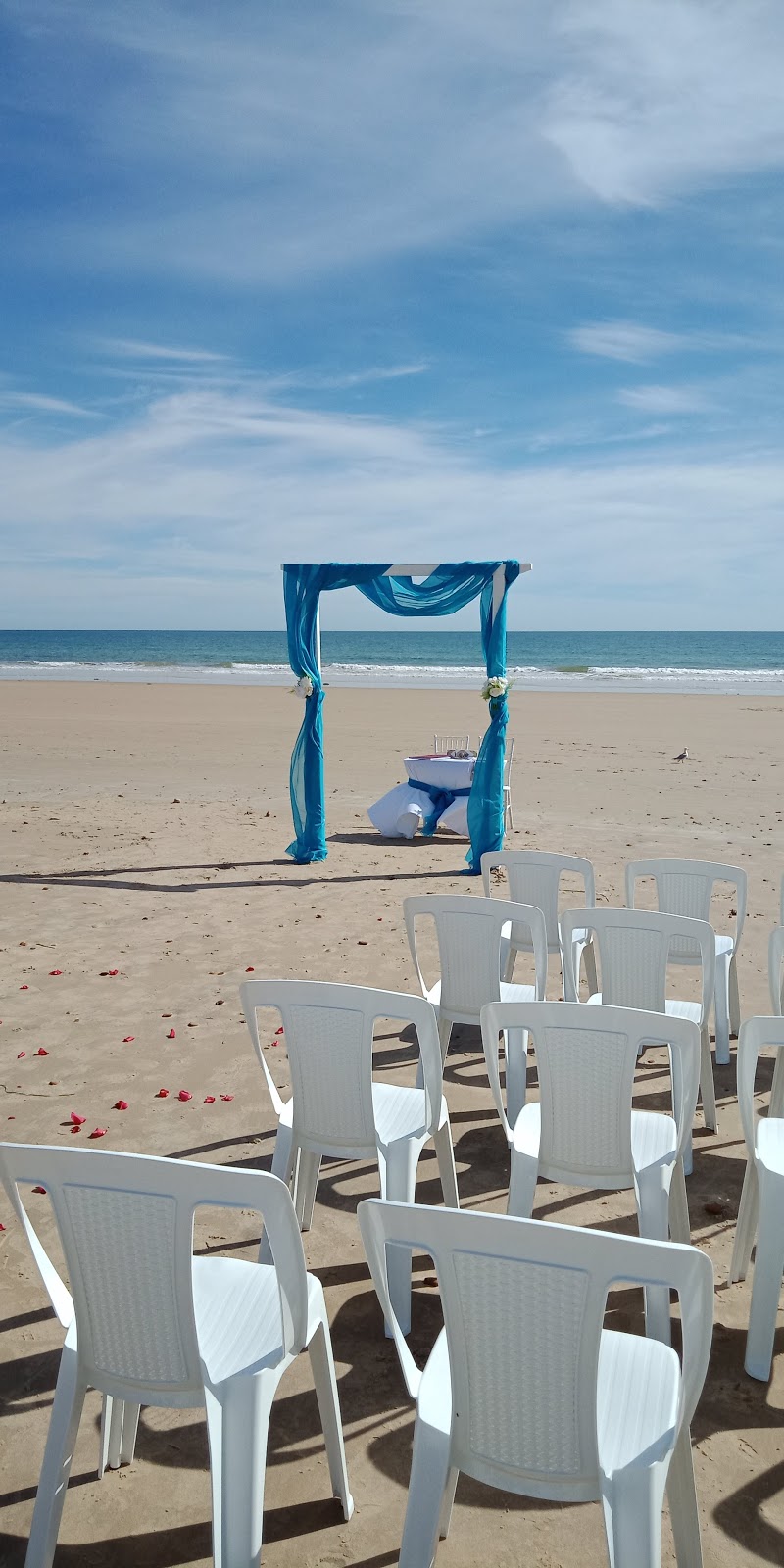 Pat Haynes Marriage Celebrant | 54 Wellington Ave, Sellicks Beach SA 5174, Australia | Phone: 0414 258 527