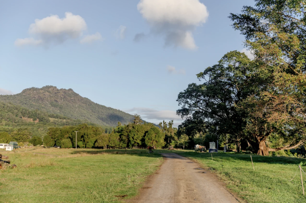 McKenzies Mountain | 675 Tyalgum Rd, Eungella NSW 2484, Australia | Phone: 0414 488 606