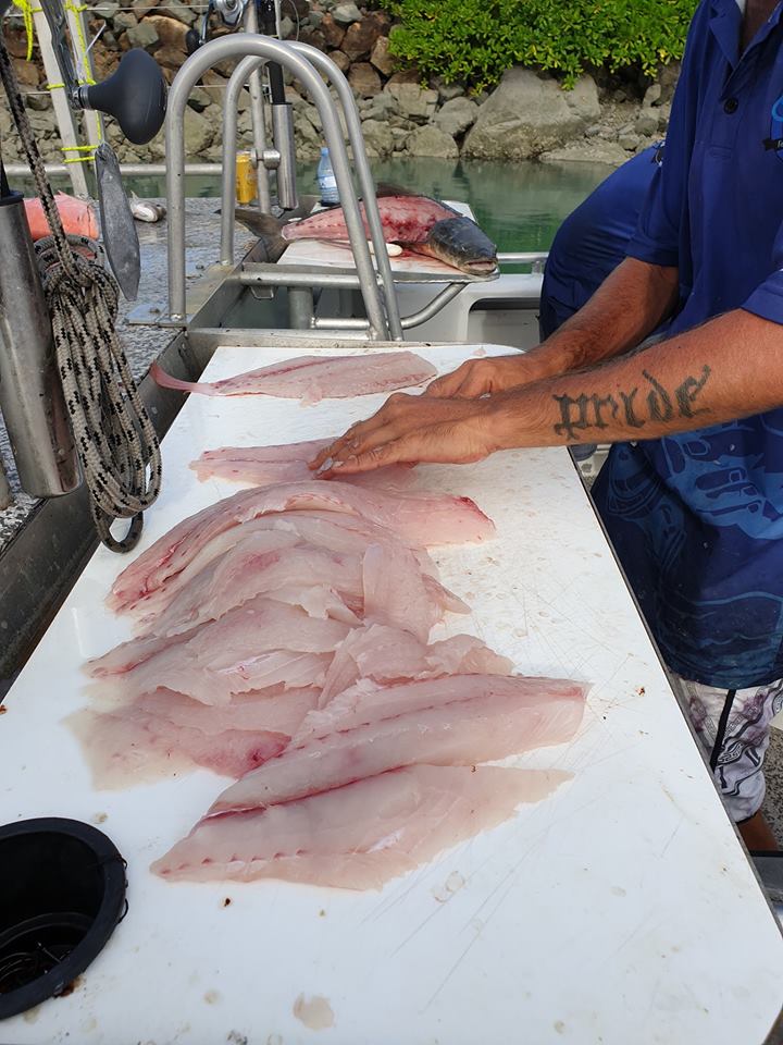 Airlie Beach Fishing Charters/Fishing Whitsundays |  | 2 Shingley Dr, Airlie Beach QLD 4802, Australia | 0427863474 OR +61 427 863 474