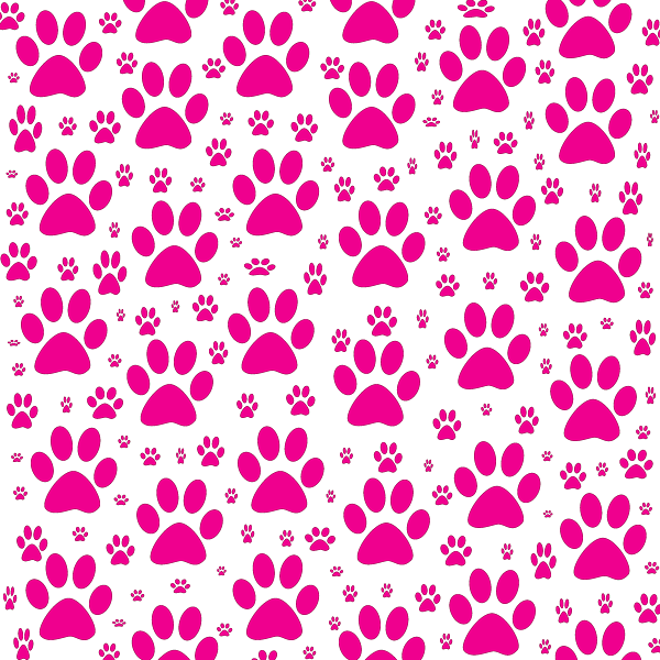 Pamper Palace | 3A Kingfisher Ln, Woodberry NSW 2322, Australia | Phone: 0435 832 293