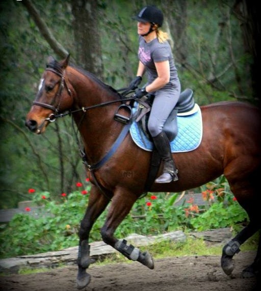 Allison Wright Equestrian | 475 Raaen Rd, Bracalba QLD 4512, Australia | Phone: 0468 585 529