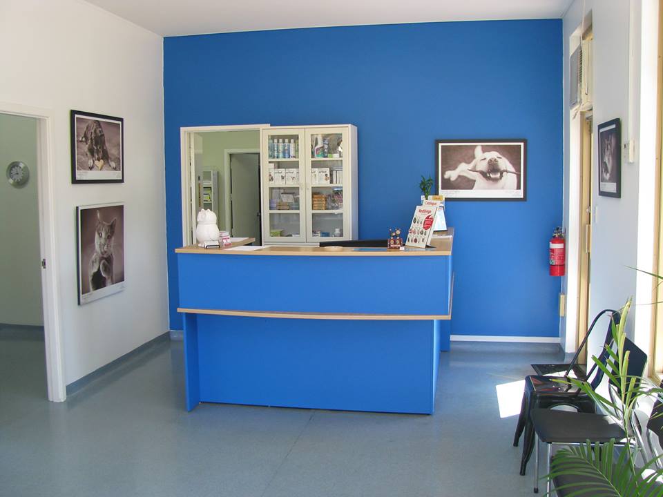 North Perth Vet Centre | veterinary care | 213 Walcott St, North Perth WA 6006, Australia | 0892277167 OR +61 8 9227 7167