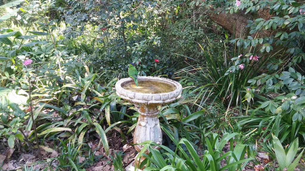 Area B1 - Duck Pond Area | Kareena Rd Lower Car Park, Caringbah South NSW 2229, Australia