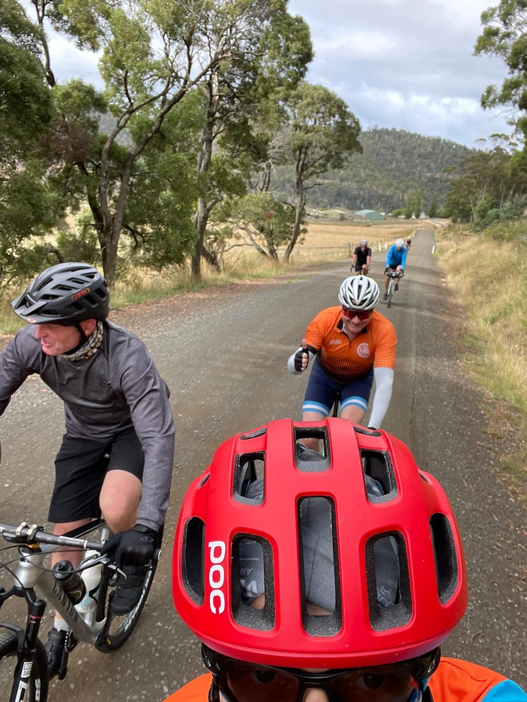 Tasmanian Gravel Tours | Derby Back Rd, Winnaleah TAS 7265, Australia | Phone: 0418 466 033