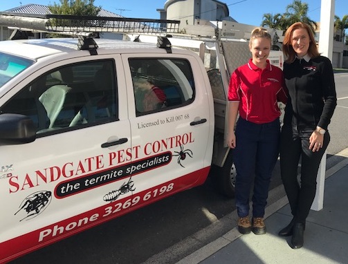 Sandgate Pest Control | home goods store | 210 Brighton Terrace, Brighton QLD 4017, Australia | 0732696198 OR +61 7 3269 6198