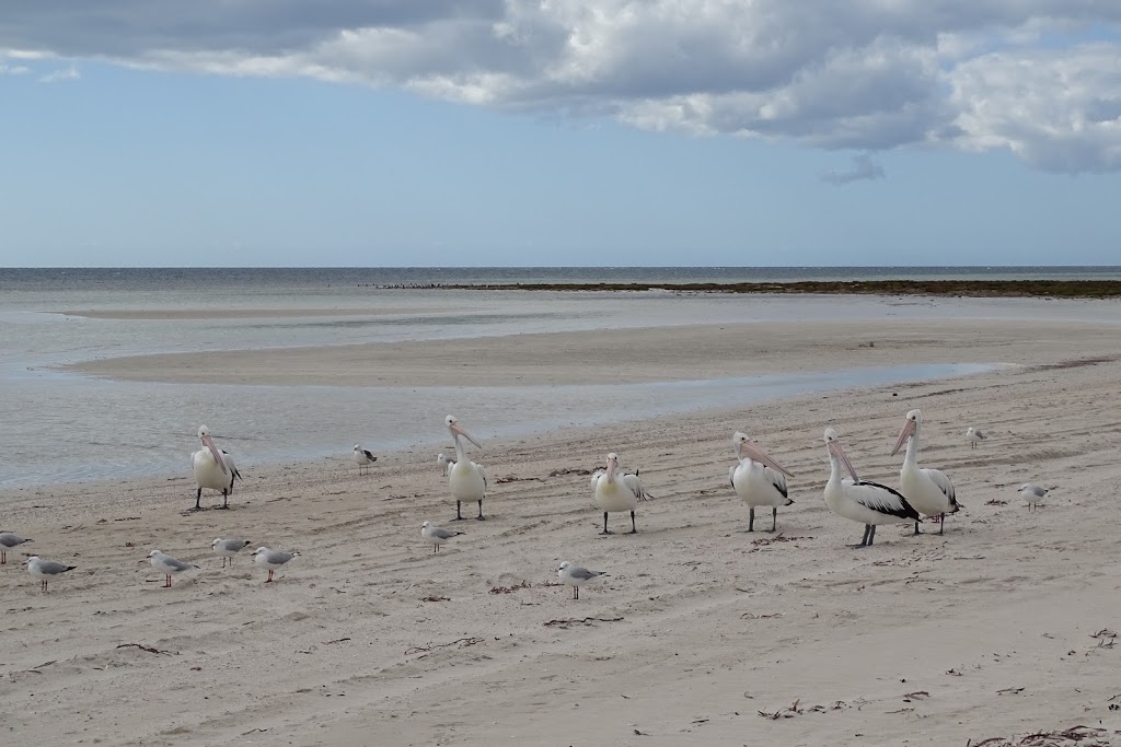 White Sands Hardwicke Bay |  | 1 Southshore Rd, Hardwicke Bay SA 5575, Australia | 0882720510 OR +61 8 8272 0510