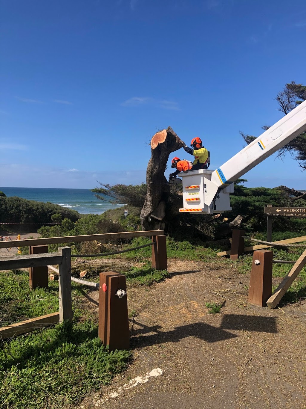 Wood Professional Tree Services |  | 385 Grubb Rd, Wallington VIC 3221, Australia | 0412524750 OR +61 412 524 750