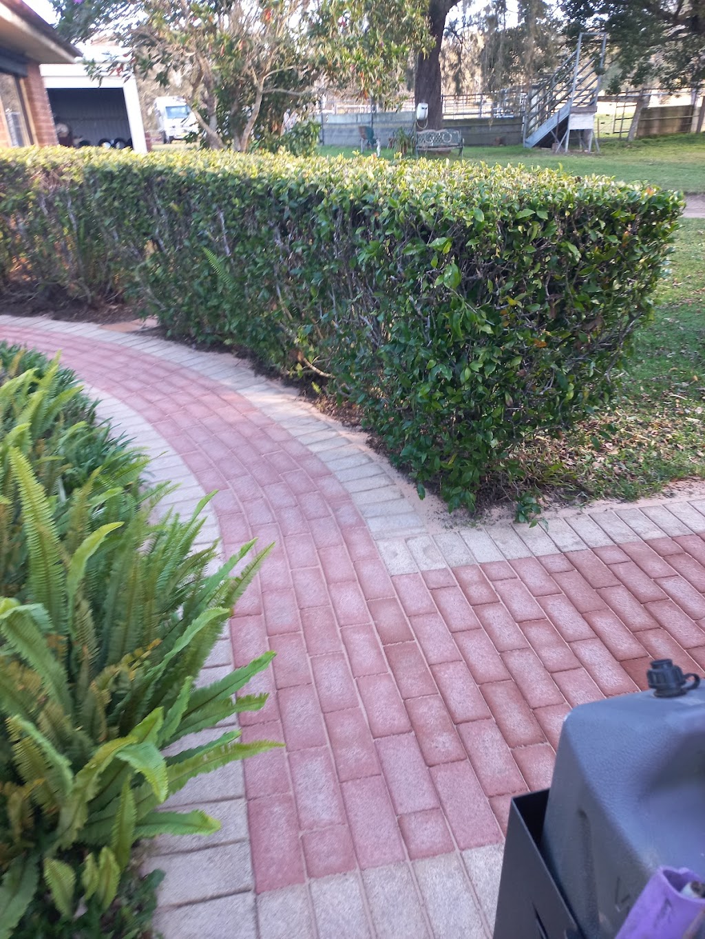 Dinos Gardens and Hedges | 19 Carrabeen Dr, Old Bar NSW 2430, Australia | Phone: 0418 962 132