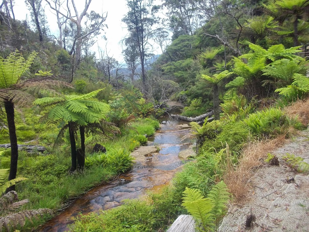 McCarthy Reserve | Rockdale NSW 2216, Australia