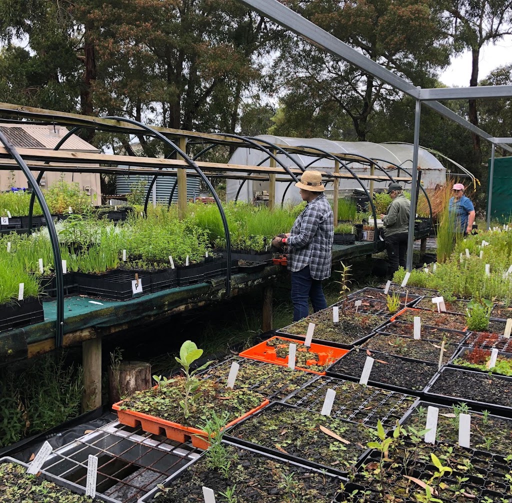 Shrub Club Community Nursery | Piggery La, Apollo Bay VIC 3233, Australia | Phone: 0405 409 494