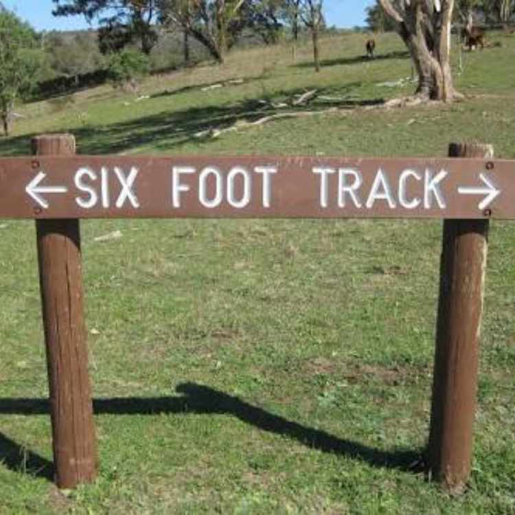 Six Foot Track guides |  | 23 Monmouth St, Mount Victoria NSW 2786, Australia | 0417040541 OR +61 417 040 541