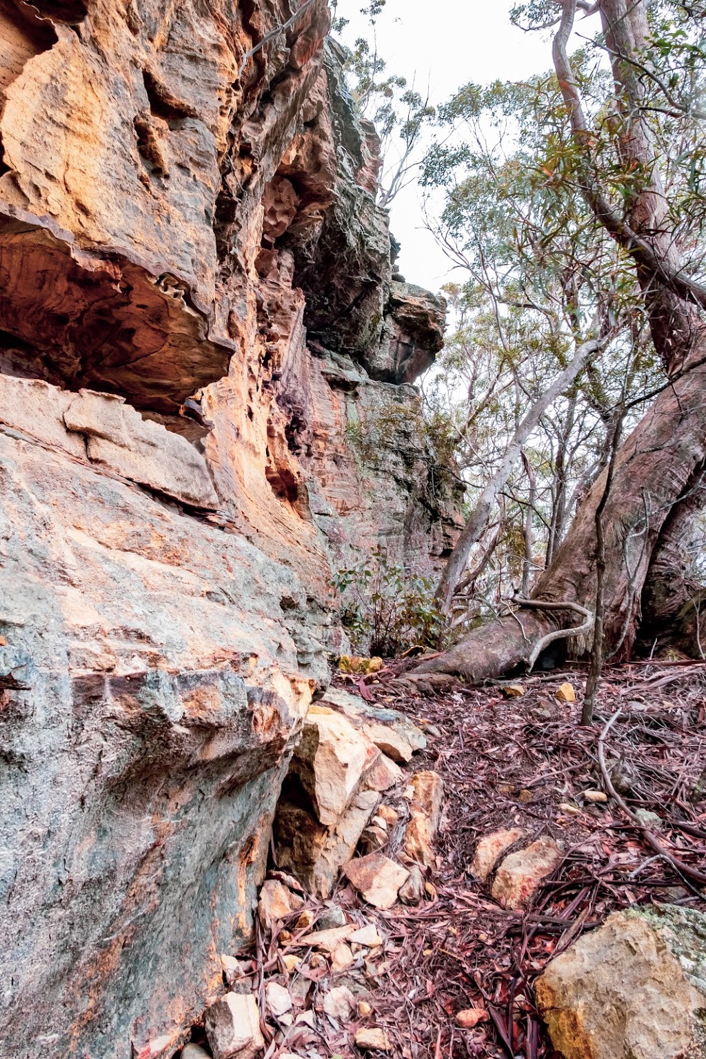 Wolgan Valley Lookout | park | Wolgan Rd, Lidsdale NSW 2790, Australia