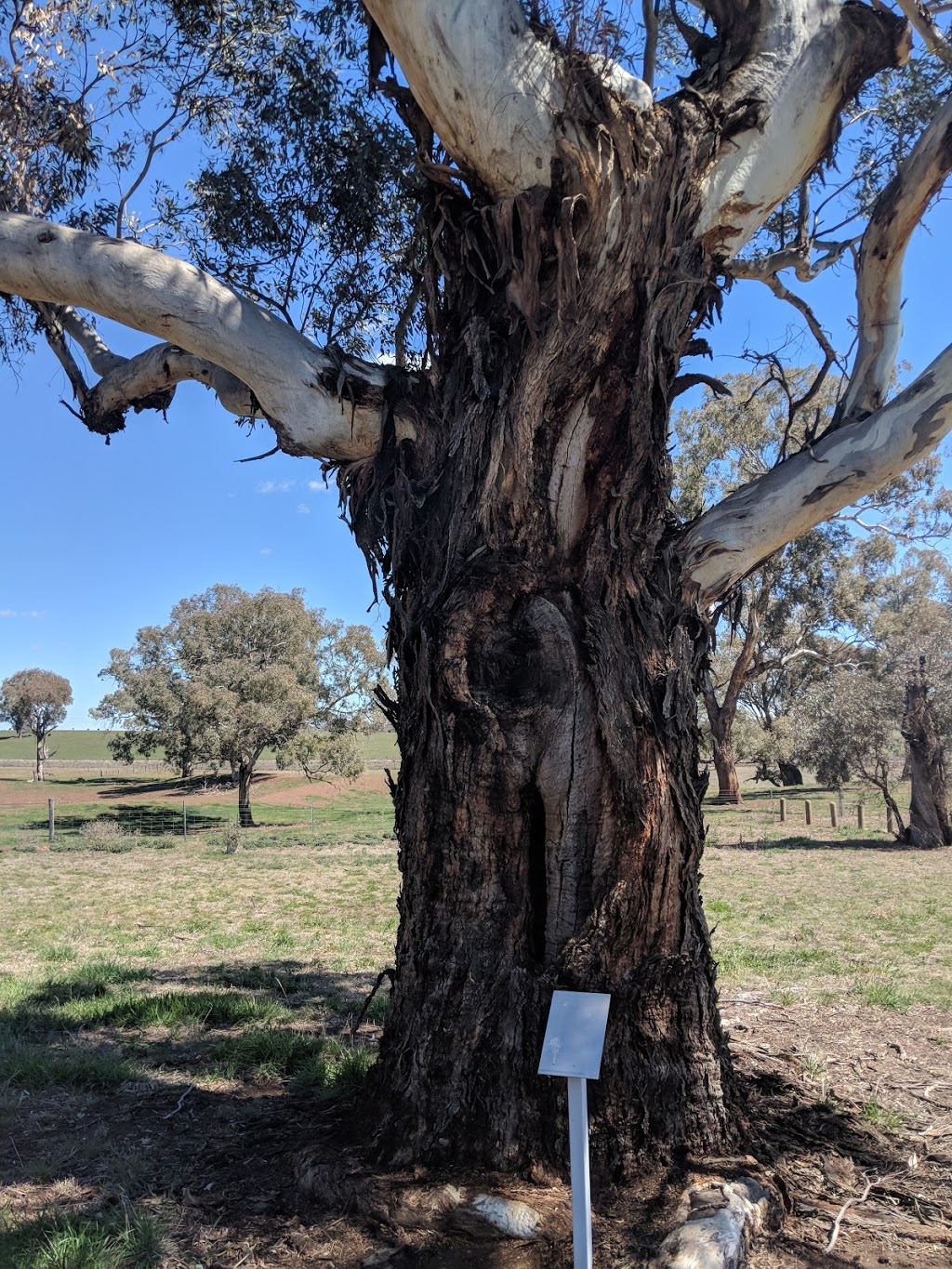 Yuranighs Aboriginal Grave Historic Site | park | Molong NSW 2866, Australia
