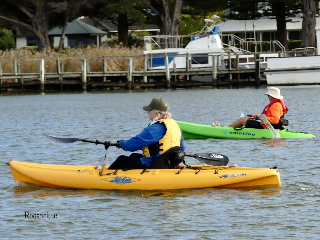 Vogalonga Down Unda, Goolwa Aquatic Club, Goolwa, SA | 92 Barrage Rd, Goolwa South SA 5214, Australia | Phone: 0415 448 657